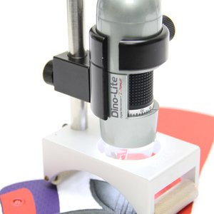 MS-W1
