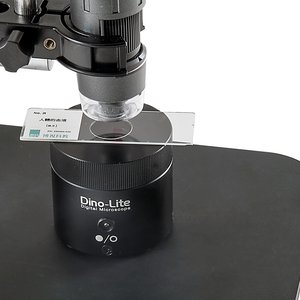 BL-CDW