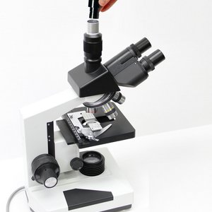 AM4023