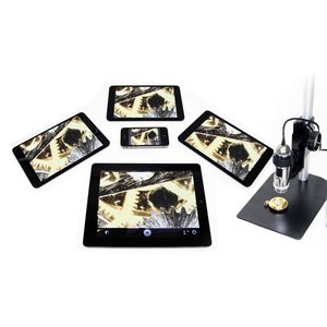 WiFi Streamer MSVC72W