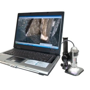 AM4013MT