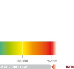Dino-Lite AM4115-FIT