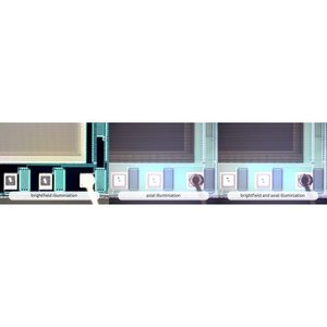 Dino-Lite AM7515MT4A