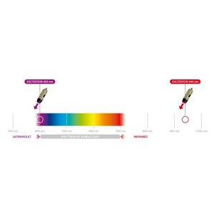 Dino-Lite AD4113T-I2V