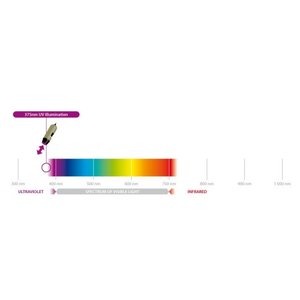 Dino-Lite AM4113T-FV2W